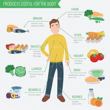 وکتور ایفوگرافی گرافیکی وکتور اینفوگرافی  رژیم غذایی3