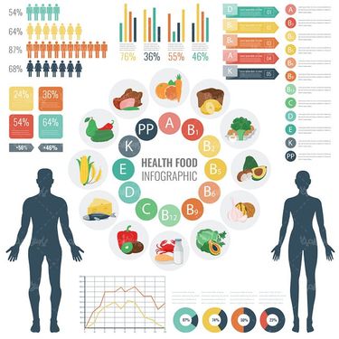 وکتور ایفوگرافی گرافیکی وکتور اینفوگرافی  رژیم غذایی4