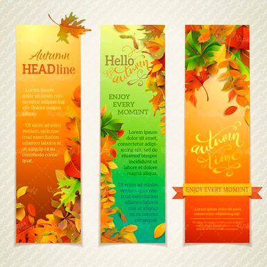 وکتور پس زمینه پاییز وکتور بک گراند برگ زرد پاییزی 2