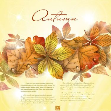 وکتور بک گراند پاییزی وکتور پس زمینه برگ پاییزی8