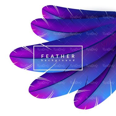 وکتور پس زمینه پر وکتور بک گراند پر وکتور تصویر زمینه گرافیکی7