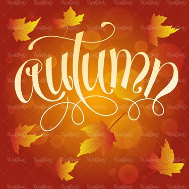 وکتور بک گراند پاییزی وکتور پس زمینه برگ پاییزی11