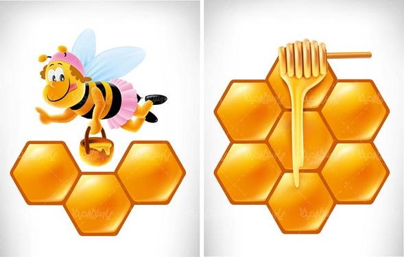 وکتور پرورش زنبور عسل وکتور زنبور عسل