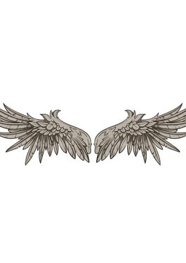 وکتور پر پرنده وکتور بال پرنده