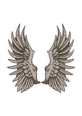 وکتور پر پرنده وکتور بال پرنده