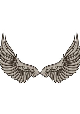 وکتور پر پرنده وکتور بال پرنده