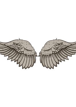 وکتور پر پرنده وکتور بال پرنده