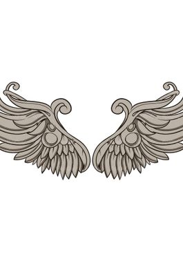 وکتور پر پرنده وکتور بال پرنده