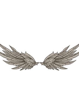 وکتور پر پرنده وکتور بال پرنده