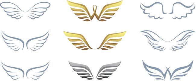 وکتور بال وکتور پر پرنده وکتور بال زدن وکتور بال عقاب