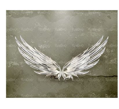 وکتور بال وکتور پر پرنده وکتور بال زدن وکتور بال عقاب