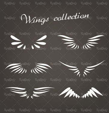 وکتور بال وکتور پر پرنده  وکتور بال عقاب