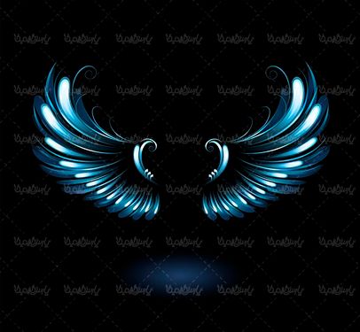 وکتور بال وکتور پر پرنده  وکتور لوگو بال رنگی