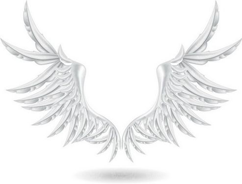 وکتور پر وکتور لوگو بال پرنده