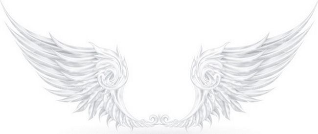 وکتور پر وکتور لوگو بال پرنده