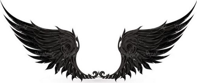 وکتور پر وکتور لوگو بال پرنده