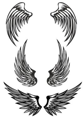 وکتور پر وکتور لوگو بال پرنده