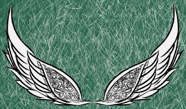 وکتور پر وکتور لوگو بال پرنده