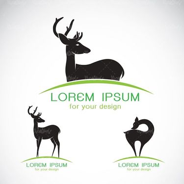 وکتور گوزن وکتور آهو وکتور حیات وحش