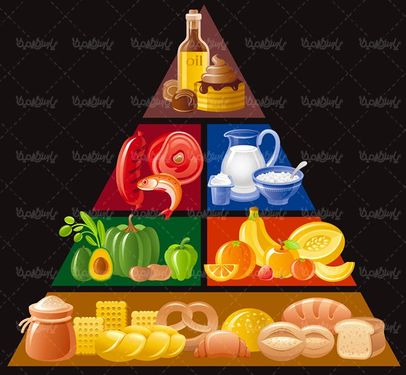 وکتور هرم مواد غذایی وکتور غلات وکتور گوشت