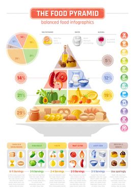 وکتور اینفوگرافی مواد غذای وکتور هرم مواد غذایی