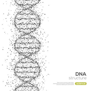 وکتور ساختار دی ان ای وکتور DNA