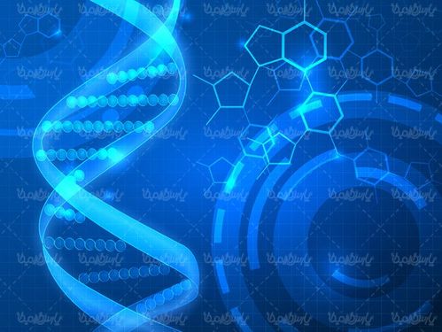 وکتور ساختار دی ان ای وکتور DNA