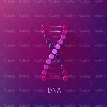 وکتور ساختار دی ان ای وکتور DNA