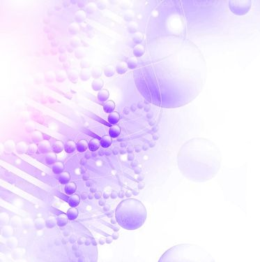 وکتور ساختار دی ان ای وکتور DNA