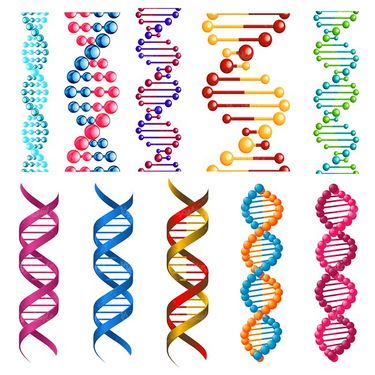 وکتور ساختار دی ان ای وکتور DNA