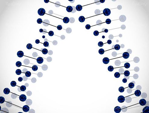 وکتور ساختار دی ان ای وکتور DNA