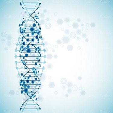 وکتور ساختار دی ان ای وکتور DNA