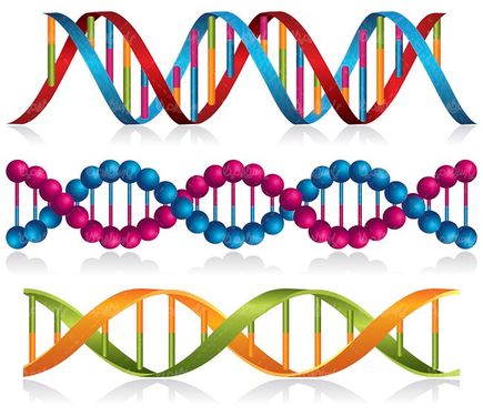 وکتور ساختار دی ان ای وکتور DNA
