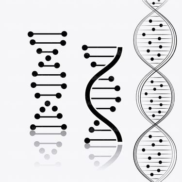 وکتور ساختار دی ان ای وکتور DNA