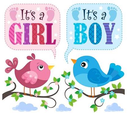 وکتور گنجشک وکتور کادر دیالوگ