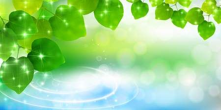 وکتور جلوه نور وکتور برگ سبز وکتور تابش نور