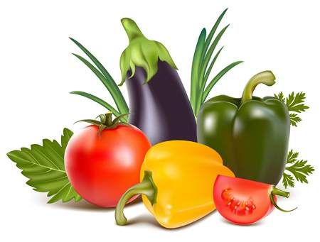 وکتور میوه فروشی وکتور بادمجان