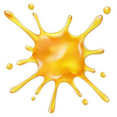 وکتور قطره عسل وکتور پخش شدن عسل