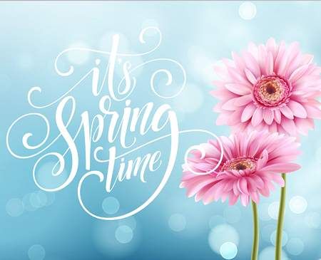 وکتور گل بهاری وکتور جلوه نور