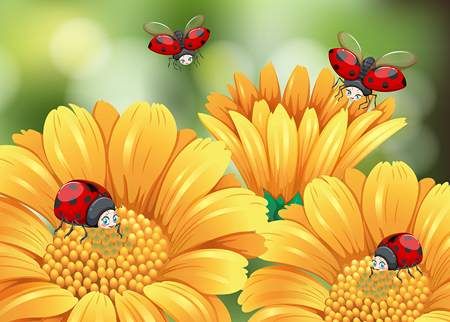 وکتور گل بهاری وکتور شاخه گل