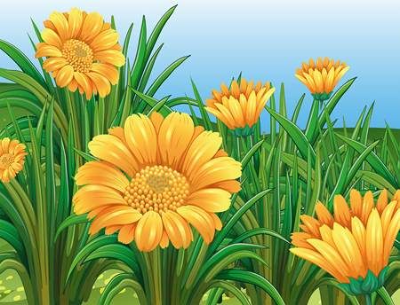 وکتور گل بهاری وکتور شاخه گل