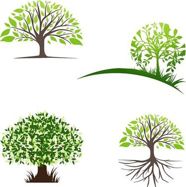 وکتور لوگو  درخت وکتور نقاشی درخت
