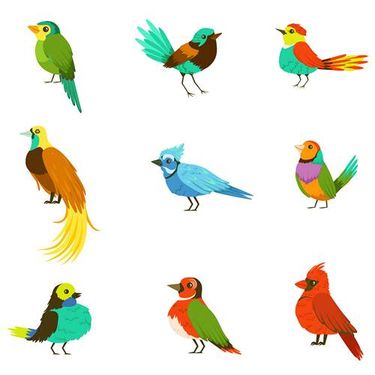 وکتور طوطی وکتور پرنده وکتور پرنده فروشی