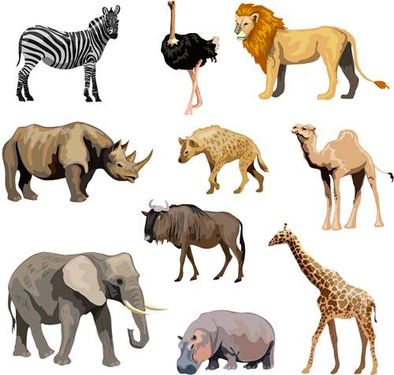 وکتور حیوانات جنگل وکتور اسب آبی وکتور فیل