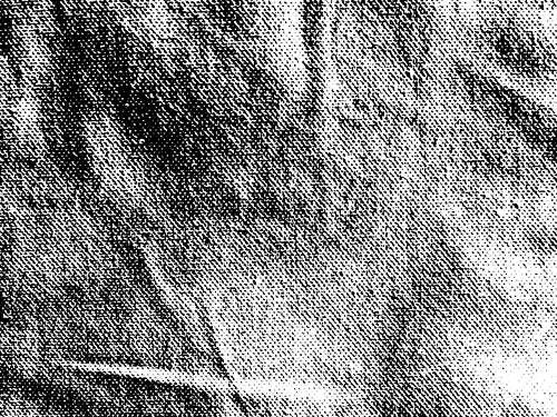 وکتور بک گراند ترام وکتور پس زمینه گرانج