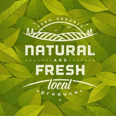 وکتور لوگو محصولات طبیعی وکتور محصولات ارگانیک