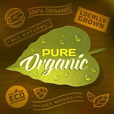 وکتور لوگو محصولات طبیعی وکتور برگ