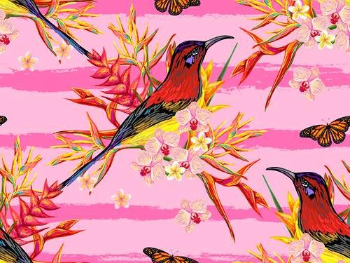 وکتور پس زمینه گل و مرغ وکتور بک گراند