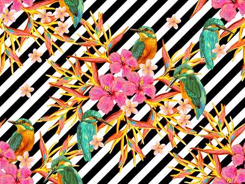 وکتور پس زمینه گل و مرغ وکتور بک گراند