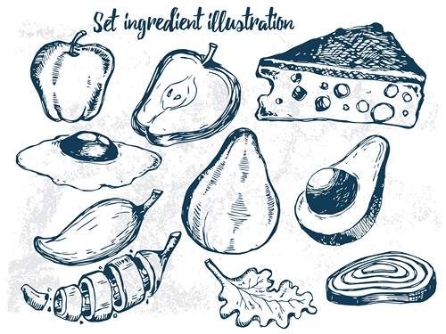 وکتور میوه وکتور آواکادو وکتور سیب